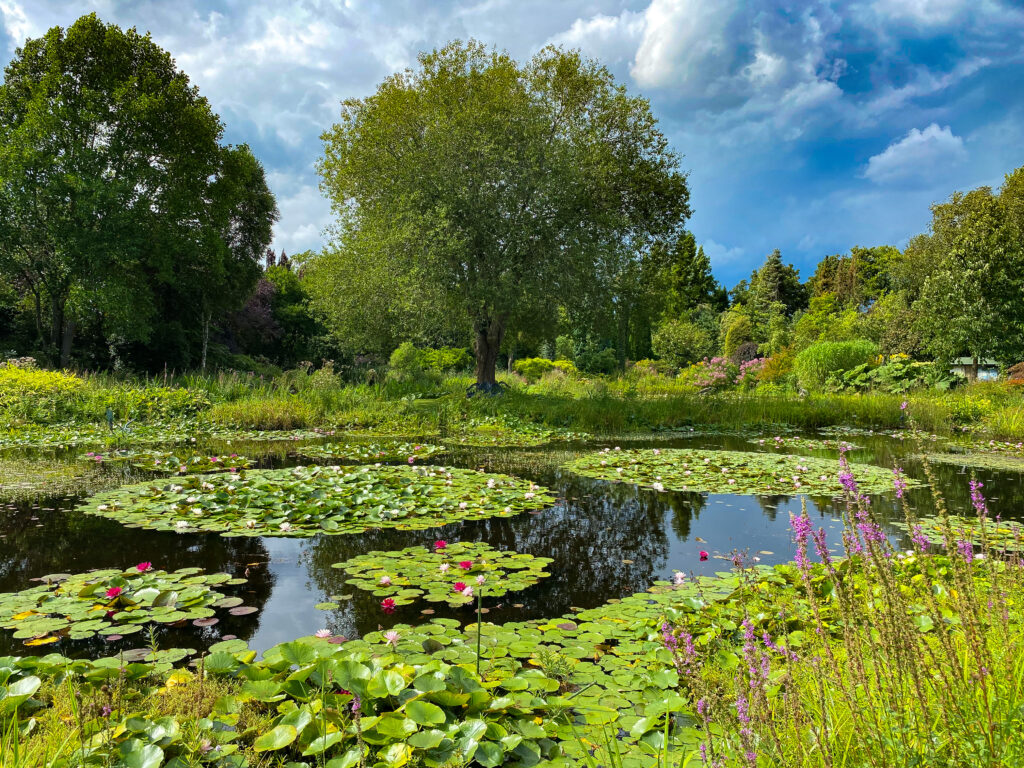 vijvertuin grootsopreis