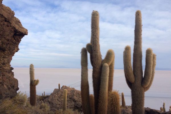 salar de uyuni