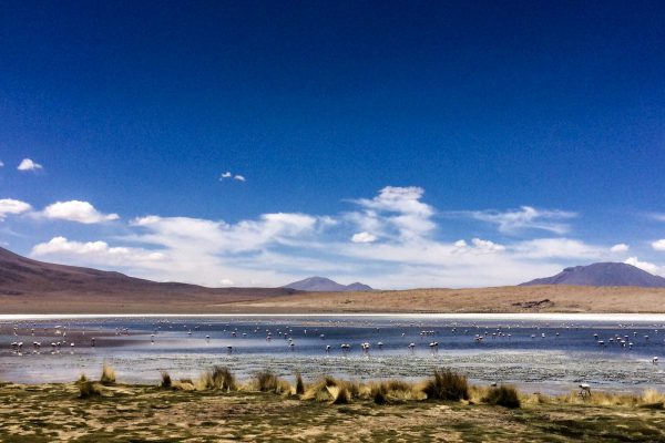 salar de uyuni trip